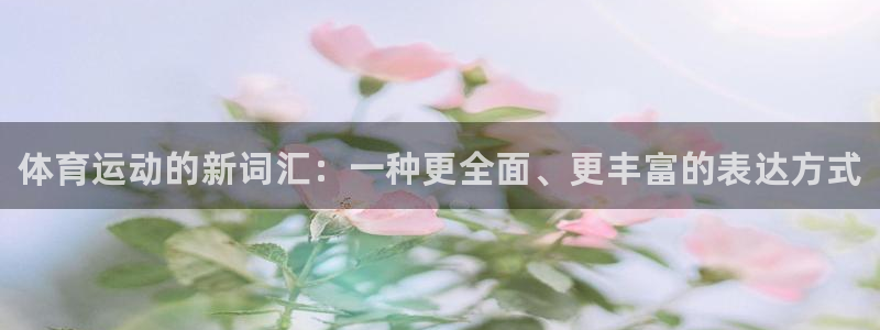 yy易游官网下载招商：体育运动的新词汇：一种更全面、
