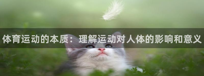 yy易游官方正版app集团官网网址：体育运动的本质：