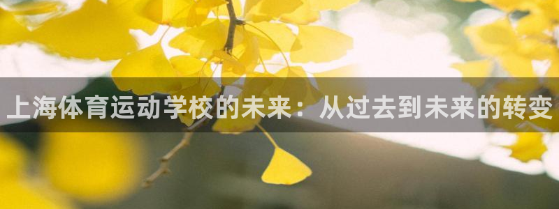 yy易游官方正版app集团官网网址：上海体育运动学校
