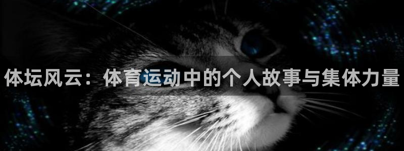 yy易游官网下载招商电话号码查询