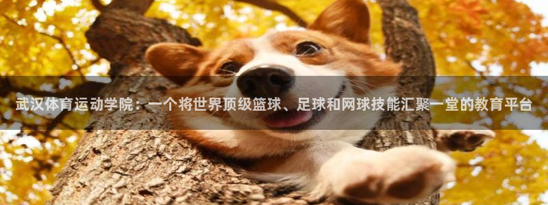 yy易游官网下载招商电话是多少号码：武汉体育运动学院