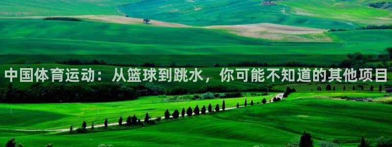 yy易游官网下载平台是正规平台吗：中国体育运动：从篮