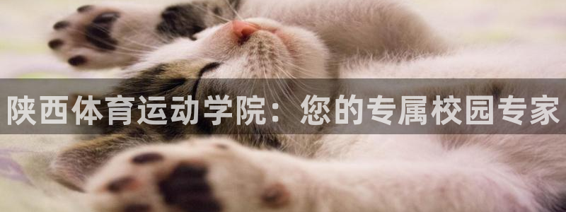 yy易游官网下载平台注册：陕西体育运动学院：您的专属校园专家