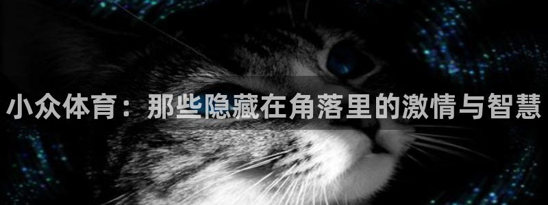 yy易游官网下载软件：小众体育：那些隐藏在角落里的激情与智慧