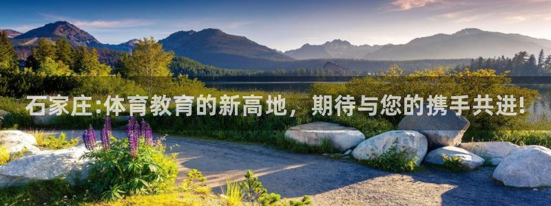 yy易游官网下载平台注册：石家庄:体育教育的新高地，