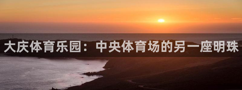 注册yy易游官方正版app：大庆体育乐园：中央体育场