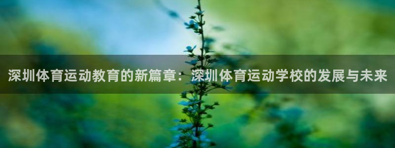 yy易游官方正版app娱乐首页网站大全：深圳体育运动教育的新