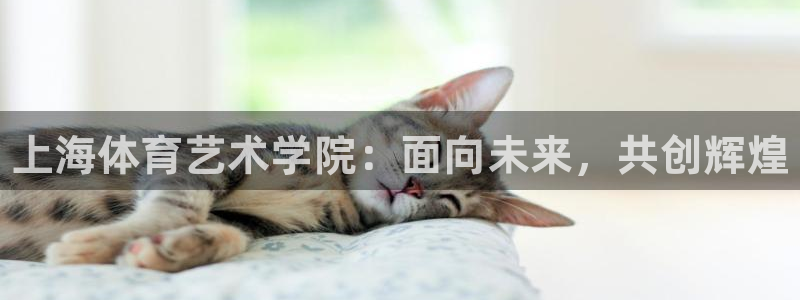 yy易游官网下载招商电话是多少号码：上海体育艺术学院：面向未