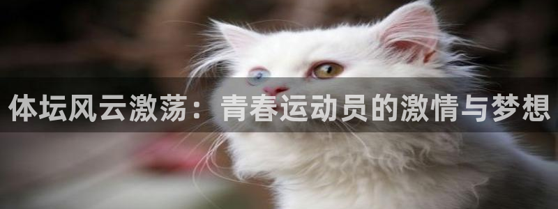 yy易游官网下载招商电话号码是多少啊：体坛风云激荡：青春运动