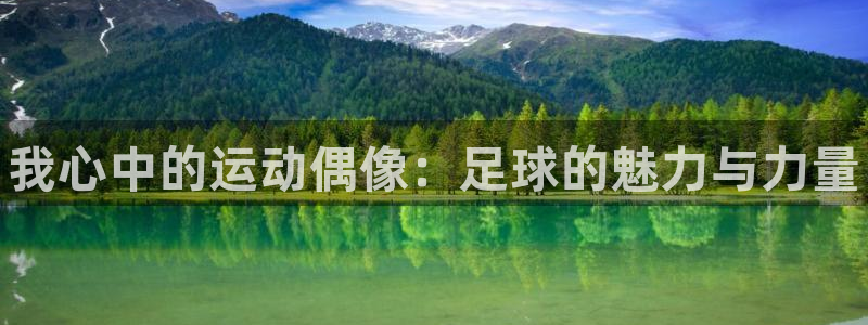 海南yy易游官网下载：我心中的运动偶像：足球的魅力与力量