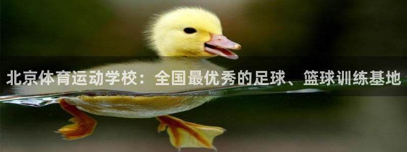 yy易游官方正版app五金厂：北京体育运动学校：全国