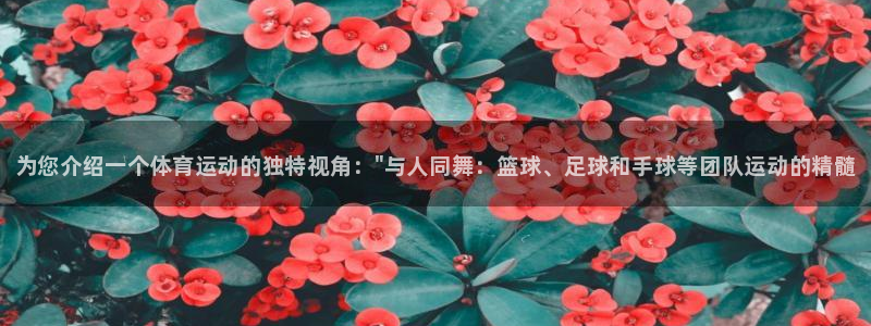 yy易游官网下载官方客服电话：为您介绍一个体育运动的