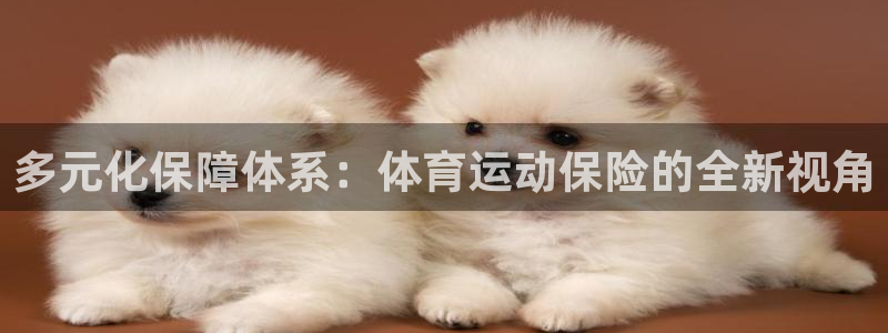 yy易游官网下载平台：多元化保障体系：体育运动保险的