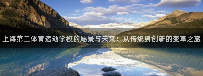yy易游官方正版app集团简介