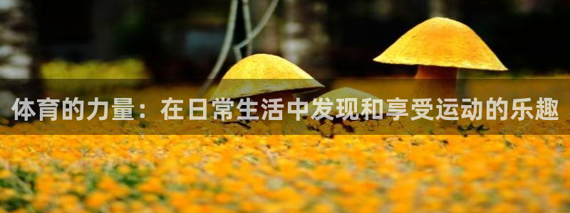 yy易游官方正版app娱乐代理怎么样