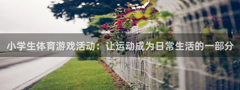 yy易游官网下载平台APP：小学生体育游戏活动：让运动成为日