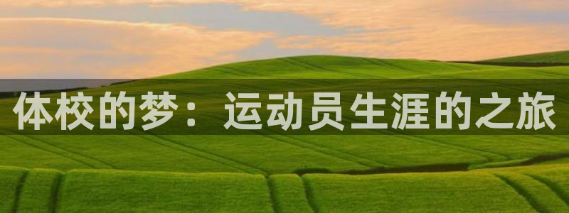 yy易游官方正版app新能源：体校的梦：运动员生涯的之旅