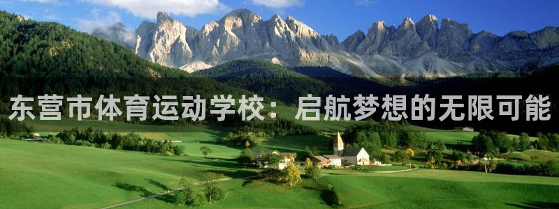 yy易游官方正版app集团E.ON：东营市体育运动学校：启航