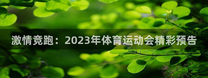yy易游官网下载平台是正规平台吗安全吗：激情竞跑：2023年