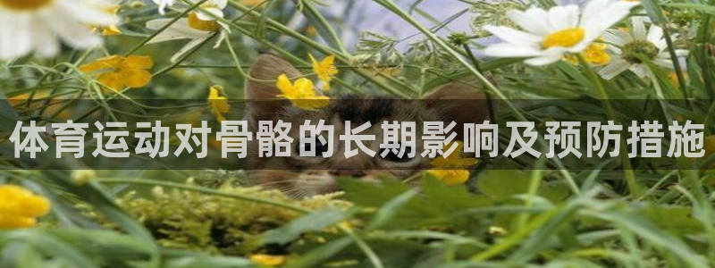 yy易游官方正版app娱乐代理怎么样：体育运动对骨骼