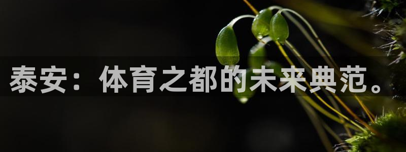 yy易游官方正版app娱乐平台：泰安：体育之都的未来典范。