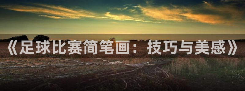 yy易游官方正版app五金厂：《足球比赛简笔画：技巧与美感》