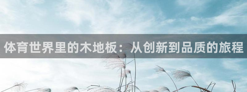 yy易游官网下载平台：体育世界里的木地板：从创新到品