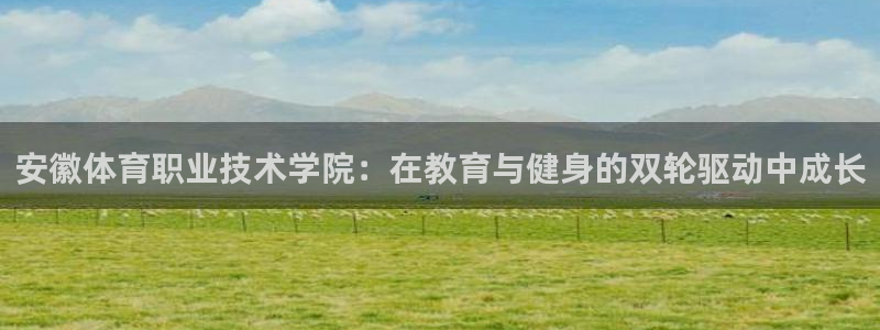 yy易游官方集团官网