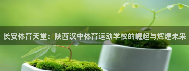 yy易游官方正版app集团官网首页网址：长安体育天堂：陕西汉