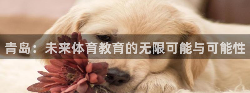 yy易游官网下载招商电话号码查询是多少：青岛：未来体育教育的