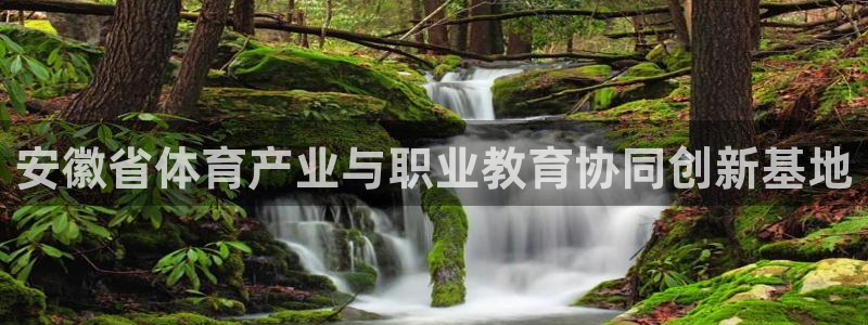 yy易游官网下载官方客服电话