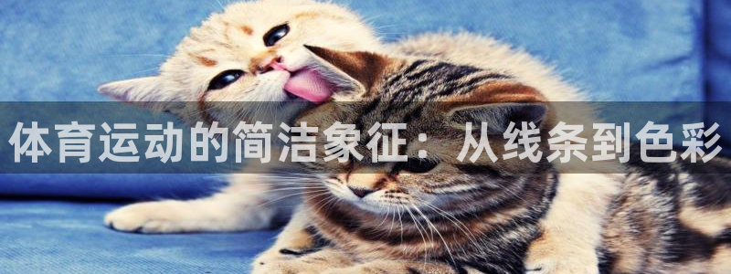 yy易游官方正版app娱乐网站：体育运动的简洁象征：