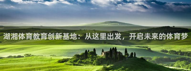yy易游体育平台能提现吗