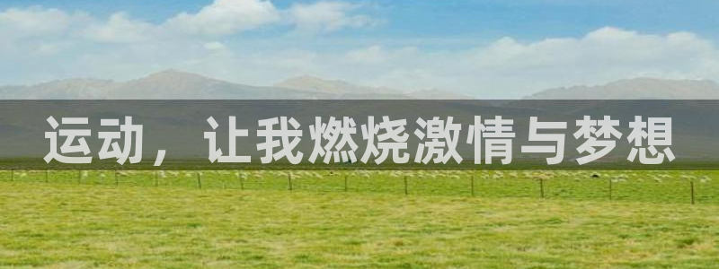 YY易游体育app最新版本更新内容