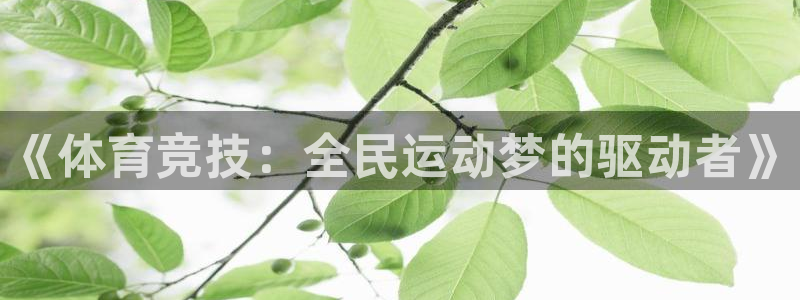 yy易游体育电竞登录不上去怎么办：《
