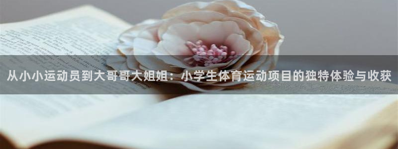 yy易游体育电竞登录不上去怎么办：从