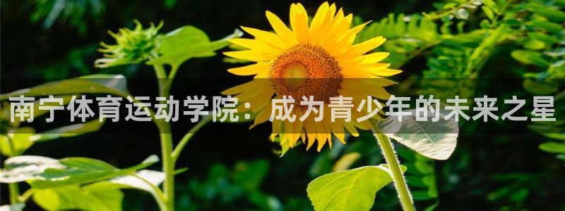 yy易游体育平台能提现吗安全吗：南宁