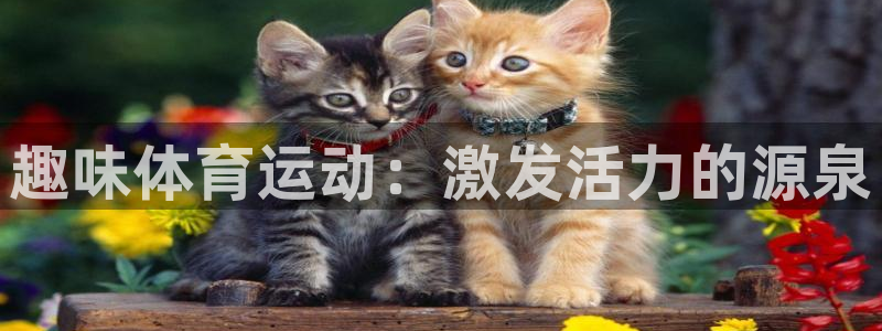 yy易游体育电竞：趣味体育运动：激发活力的源泉