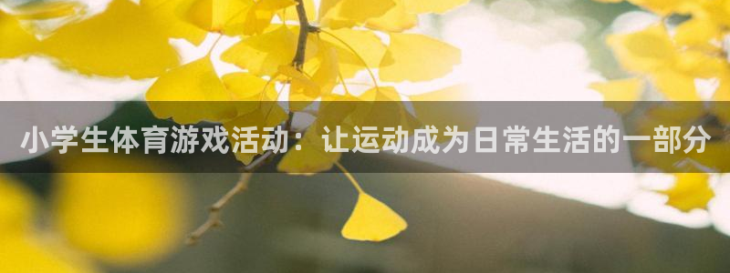  yy易游体育怎么样：小学生体育游戏活动：让运动成为日常生活的