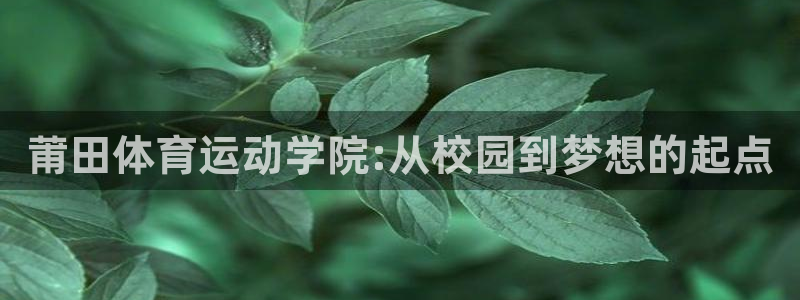  yy易游体育贴吧最新消息：莆田体育运动学院:从校园到梦想的起