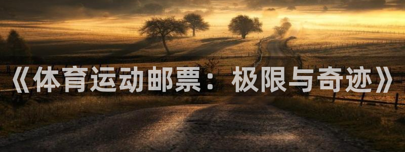  yy易游体育电竞登录不上去：《体育运动邮票：极限与奇迹》
