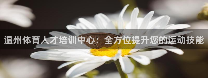 yy易游体育电竞登录不上去了：温州体