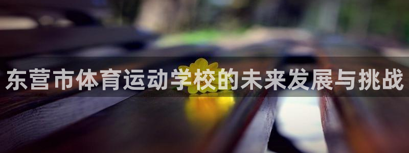yy易游体育平台能提现吗安全吗：东营市体育运动学校的未来发展