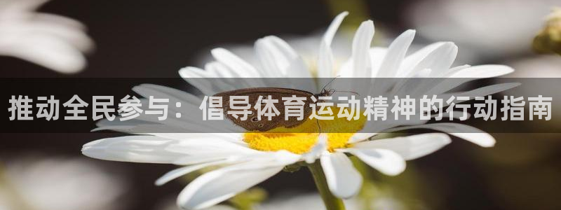 yy易游体育平台能提现吗