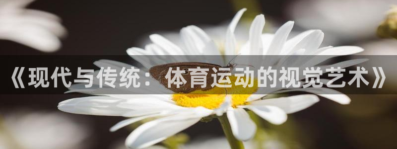 yy易游体育平台