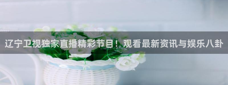 雨燕直播360高清直播：辽宁卫视独家直播精彩节目！观看最新资讯与娱乐八卦