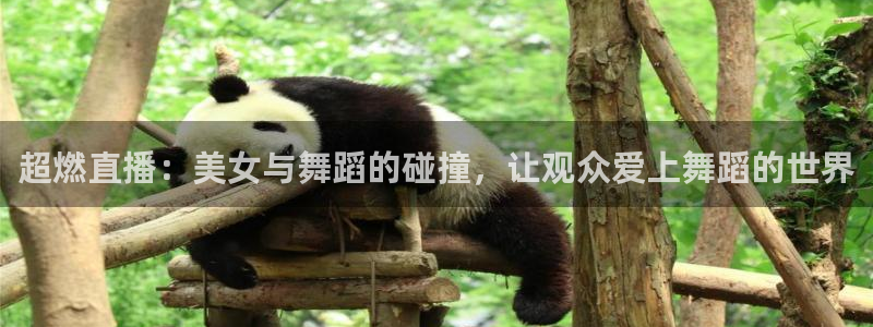 雨燕体育直播足球直播：超燃直播：美女与舞蹈的碰撞，让观众爱上舞蹈的世界
