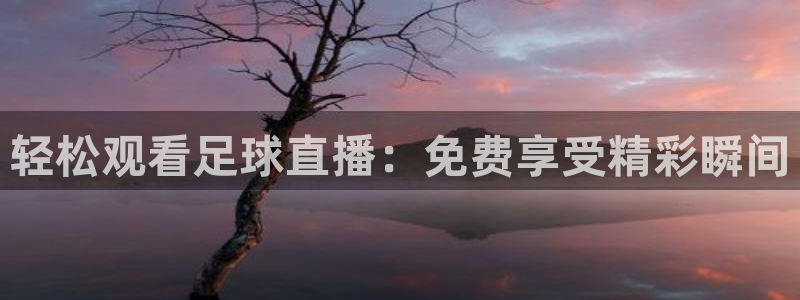 360直播吧雨燕直播：轻松观看足球直播：免费享受精彩瞬间